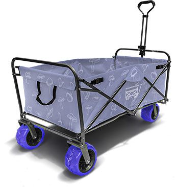 Strandverda Pro gomba
